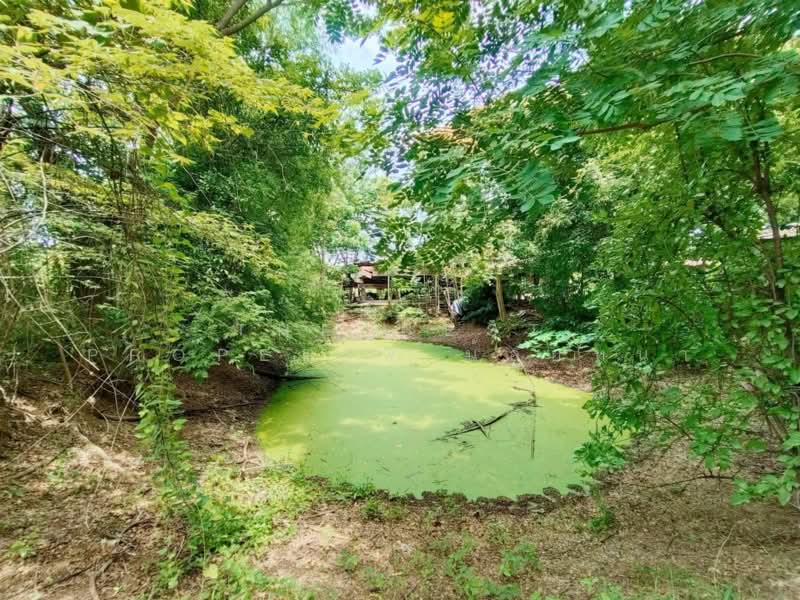 บ้านเดี่ยวพร้อมที่ดินบ้านด่าน อุตรดิตถ์, Uttaradit, Ban Dan, Muang Uttaradit, Uttaradit, 4 Bedrooms, 100 sqm, Single Detached House For Sale, by The Best Property น้อยหน่า, 500448703 - DDproperty.com