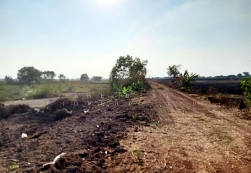 ที่ดินปากพลี นครนายก, Nakhon Nayok, Tha Rua, Pak Phli, Nakhon Nayok, , 24,684 sqm, Land For Sale, by The Best Property น้อย, 500448719 - DDproperty.com