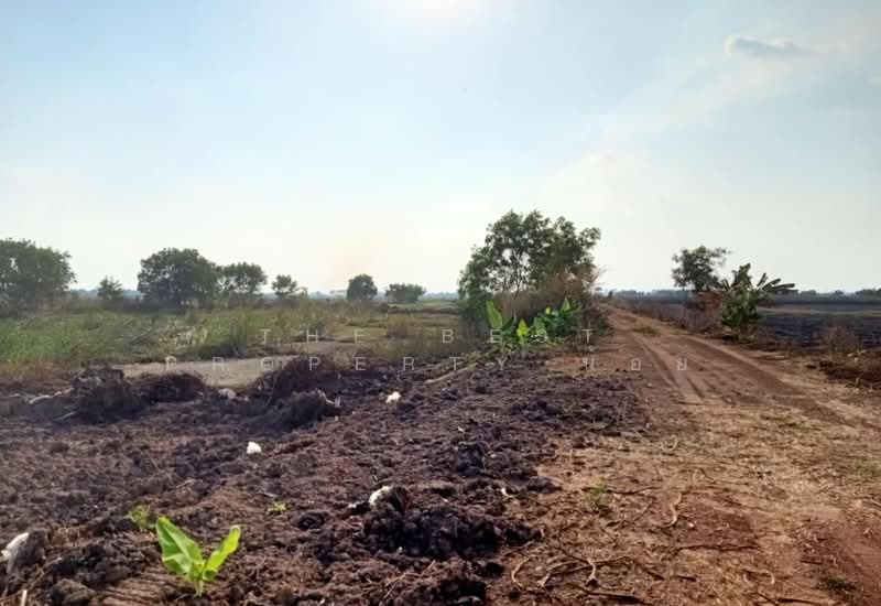 ที่ดินปากพลี นครนายก, Nakhon Nayok, Tha Rua, Pak Phli, Nakhon Nayok, , 24,684 sqm, Land For Sale, by The Best Property น้อย, 500448719 - DDproperty.com