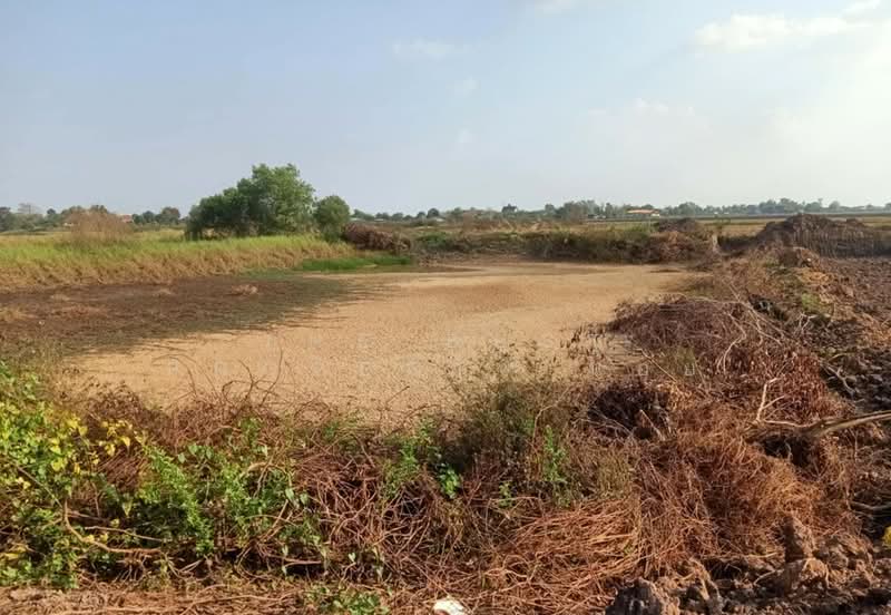 ที่ดินปากพลี นครนายก, Nakhon Nayok, Tha Rua, Pak Phli, Nakhon Nayok, , 24,684 sqm, Land For Sale, by The Best Property น้อย, 500448719 - DDproperty.com