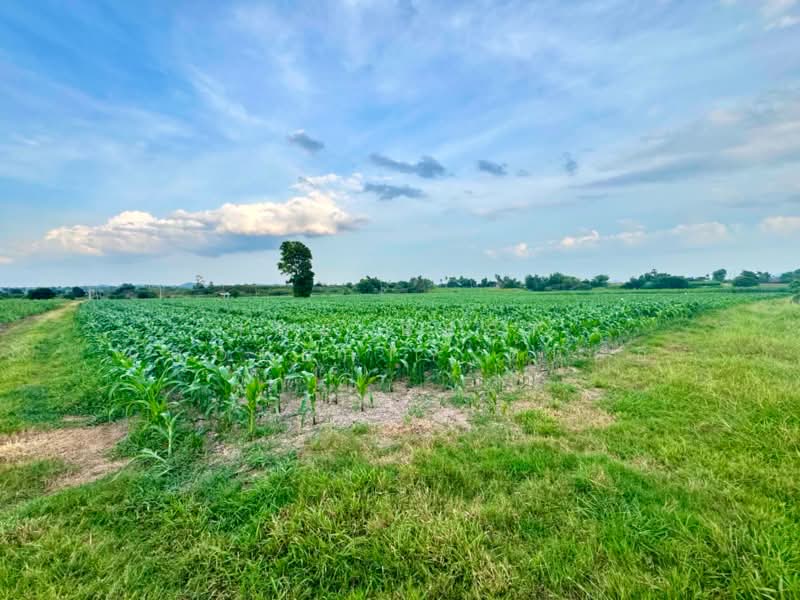 ที่ดินตาคลี นครสวรรค์, Nakhon Sawan, Hua Wai, Takhli, Nakhon Sawan, , 23,632 sqm, Land For Sale, by The Best Property ต้นอ้อ, 500448731 - DDproperty.com
