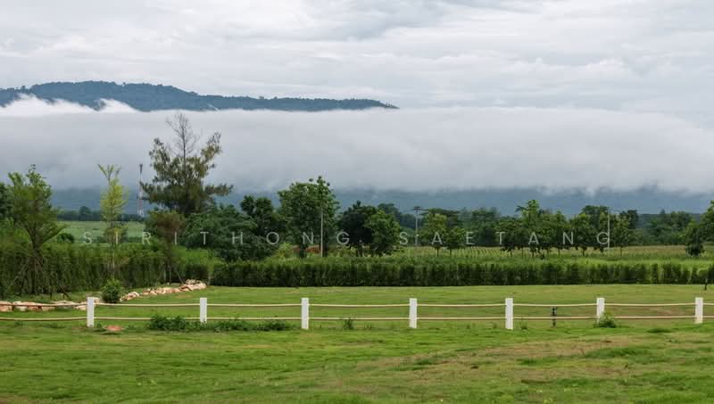 Land for sale in Khao Yai, Pak Chong on the Tuscany Road, Khao Yai and Toscana View, Nakhon Ratchasima, 3052, Mu Si, Pak Chong, Nakhon Ratchasima, , 3,200 sqm, Land For Sale, by Sirithong Saetang, 500448733 - DDproperty.com