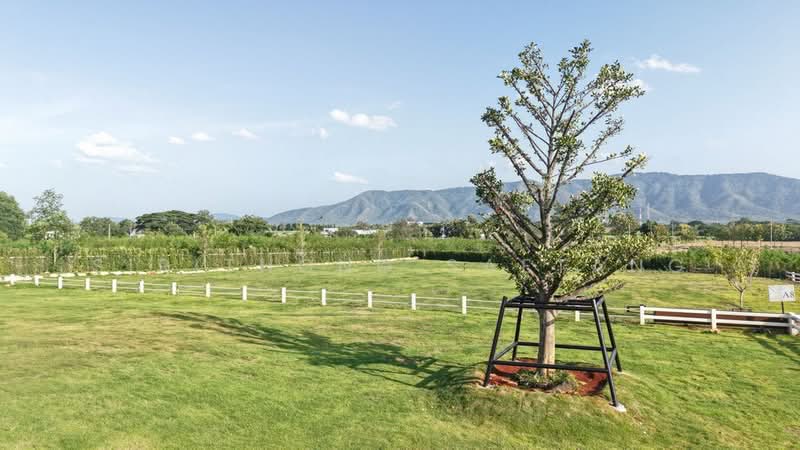 Land for sale in Khao Yai, Pak Chong on the Tuscany Road, Khao Yai and Toscana View, Nakhon Ratchasima, 3052, Mu Si, Pak Chong, Nakhon Ratchasima, , 3,200 sqm, Land For Sale, by Sirithong Saetang, 500448733 - DDproperty.com