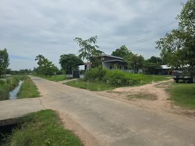 ขาย - ที่ดินโพธิ์ ศรีสะเกษ, ศรีสะเกษ