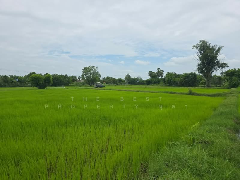 ที่ดินโพธิ์ ศรีสะเกษ, Si Sa Ket, Pho, Muang Si Sa Ket, Si Sa Ket, , 2,776 sqm, Land For Sale, by The Best Property นุดา, 500448746 - DDproperty.com
