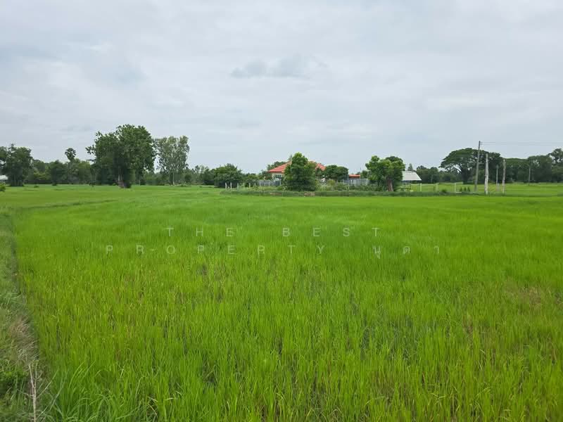 ที่ดินโพธิ์ ศรีสะเกษ, ศรีสะเกษ, โพธิ์, เมืองศรีสะเกษ, ศรีสะเกษ, 2,776 ตร.ม., ที่ดิน ขาย, โดย The Best Property นุดา, 500448746 - DDproperty.com