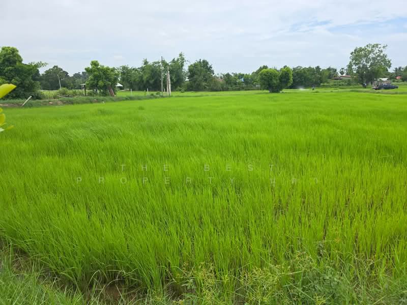 ที่ดินโพธิ์ ศรีสะเกษ, Si Sa Ket, Pho, Muang Si Sa Ket, Si Sa Ket, , 2,776 sqm, Land For Sale, by The Best Property นุดา, 500448746 - DDproperty.com