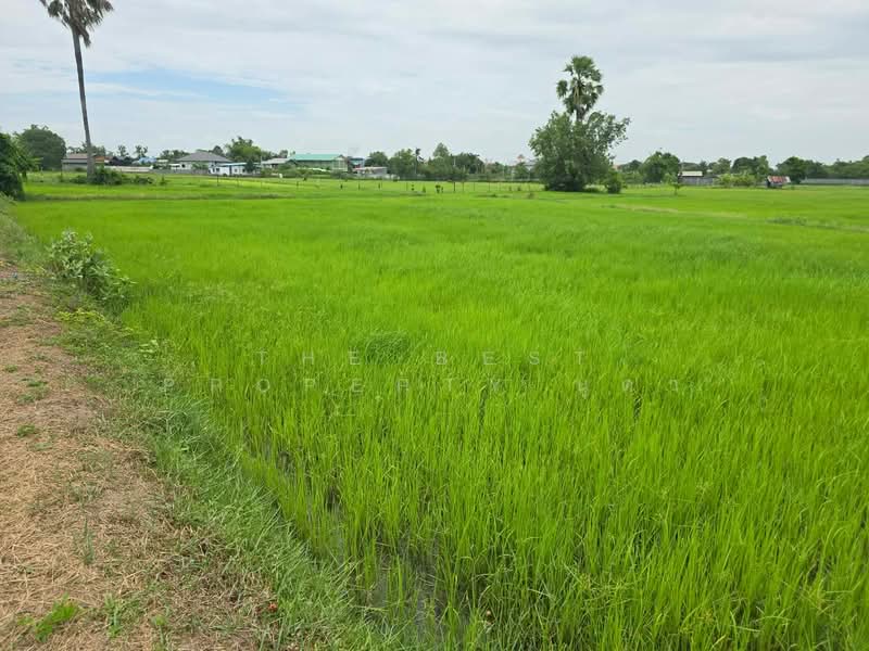 ที่ดินโพธิ์ ศรีสะเกษ, Si Sa Ket, Pho, Muang Si Sa Ket, Si Sa Ket, , 2,776 sqm, Land For Sale, by The Best Property นุดา, 500448746 - DDproperty.com