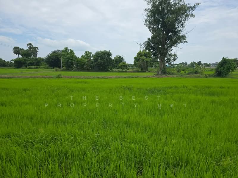 ที่ดินโพธิ์ ศรีสะเกษ, ศรีสะเกษ, โพธิ์, เมืองศรีสะเกษ, ศรีสะเกษ, 2,776 ตร.ม., ที่ดิน ขาย, โดย The Best Property นุดา, 500448746 - DDproperty.com