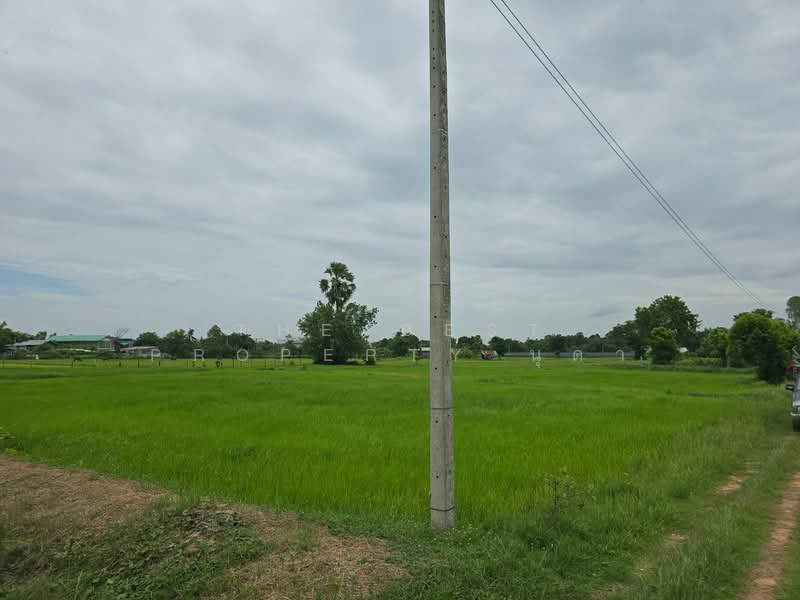 ที่ดินโพธิ์ ศรีสะเกษ, Si Sa Ket, Pho, Muang Si Sa Ket, Si Sa Ket, , 2,776 sqm, Land For Sale, by The Best Property นุดา, 500448746 - DDproperty.com