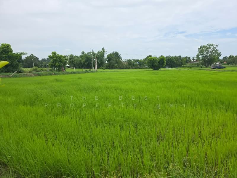 ที่ดินโพธิ์ ศรีสะเกษ, Si Sa Ket, Pho, Muang Si Sa Ket, Si Sa Ket, , 2,776 sqm, Land For Sale, by The Best Property นุดา, 500448746 - DDproperty.com