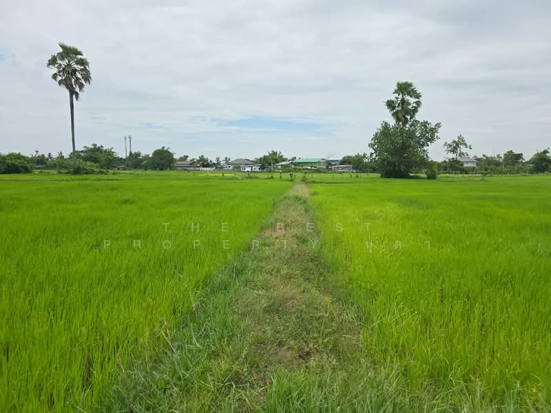 ที่ดินโพธิ์ ศรีสะเกษ, Si Sa Ket, Pho, Muang Si Sa Ket, Si Sa Ket, , 2,776 sqm, Land For Sale, by The Best Property นุดา, 500448746 - DDproperty.com
