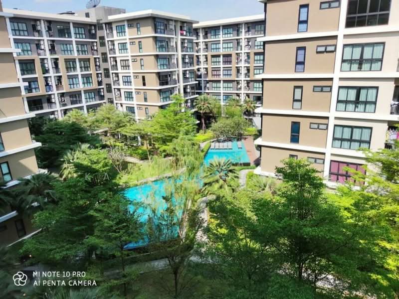 Hallmark Ngamwongwan, Nonthaburi, Nonthaburi Road, Bang Khen, Muang Nonthaburi, Nonthaburi, 1 Bedroom, 28 sqm, Condo For Sale, by Amwika Karoonsombat, 500448896 - DDproperty.com