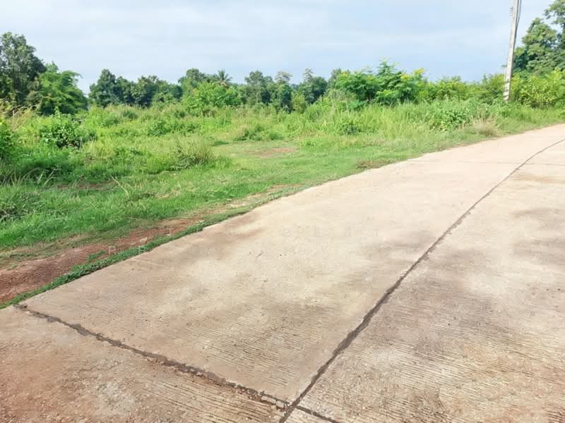 ที่ดินท่าบ่อ หนองคาย, หนองคาย, ท่าบ่อ, หนองคาย, 702 ตร.ม., ที่ดิน ขาย, โดย The Best Property เป้า, 500448900 - DDproperty.com