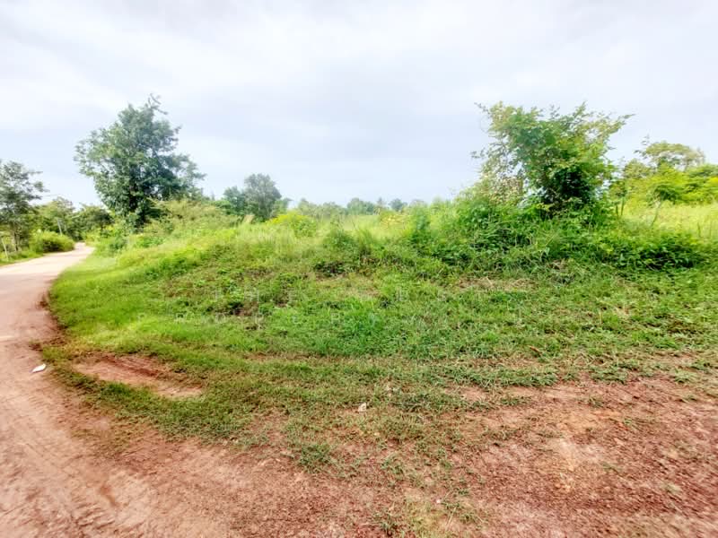 ที่ดินท่าบ่อ หนองคาย, หนองคาย, ท่าบ่อ, หนองคาย, 702 ตร.ม., ที่ดิน ขาย, โดย The Best Property เป้า, 500448900 - DDproperty.com