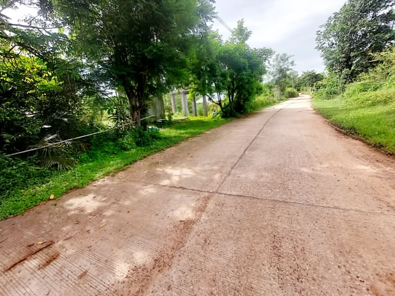 ที่ดินท่าบ่อ หนองคาย, หนองคาย, ท่าบ่อ, หนองคาย, 702 ตร.ม., ที่ดิน ขาย, โดย The Best Property เป้า, 500448900 - DDproperty.com