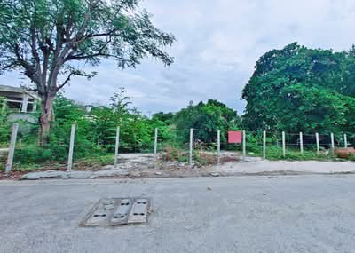 ขาย - ที่ดินพระประแดง สมุทรปราการ, สมุทรปราการ