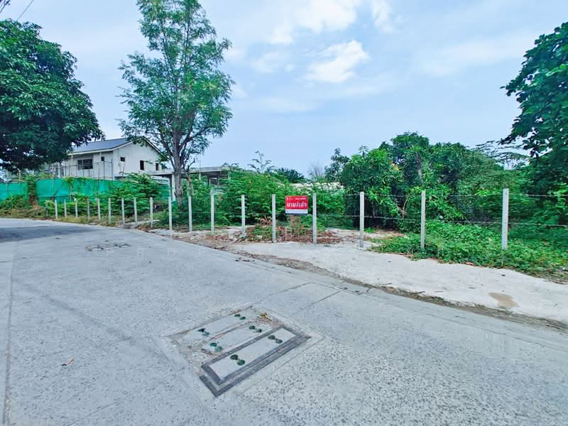 ที่ดินพระประแดง สมุทรปราการ, Samut Prakan, Sam Rong Klang, Phra Pra Daeng, Samut Prakan, , 664 sqm, Land For Sale, by The Best Property ปุ้ยกี้, 500448958 - DDproperty.com