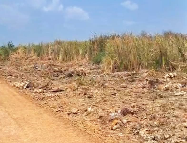 ที่ดินธัญบุรี ปทุมธานี, Pathum Thani, Bung Sanan, Thanyaburi, Pathum Thani, , 1,600 sqm, Land For Sale, by The Best Property ปุ้ยกี้, 500448969 - DDproperty.com