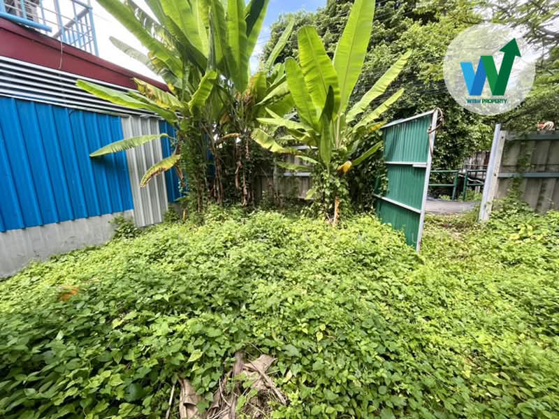 For Sale Land At Bang Sue Tao Poon, Bangkok, บางซื่อ, Wong Sawang, Bang Sue, Bangkok, , 224 sqm, Land For Sale, by Sumonta Kannut, 500448970 - DDproperty.com