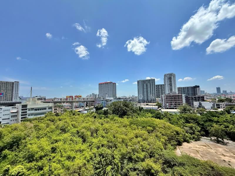 Plum Condo Pinklao Station, Bangkok, Somdet Chaopraya Road, Bang Yi Khan, Bang Phlat, Bangkok, 2 Bedrooms, 50 sqm, Condo For Rent, by NATTAPHONG Yodmanotham (K. Book), 500448972 - DDproperty.com