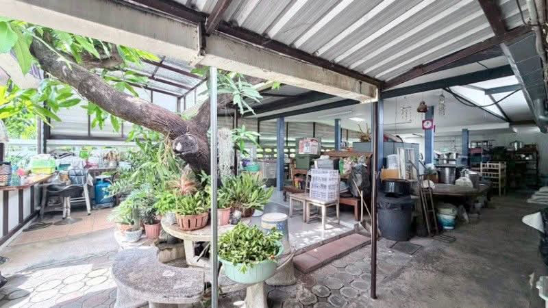 บ้านแฝด ชั้นเดียว 97 ตารางวา ประชานิเวศน์ 3 หลังริม, Nonthaburi, ประชานิเวศน์ 3, Tha-Sai, Muang Nonthaburi, Nonthaburi, 4 Bedrooms, 130 sqm, Single Detached House For Sale, by คุณ พิมพ์สิริ ( ทราย ), 500448990 - DDproperty.com