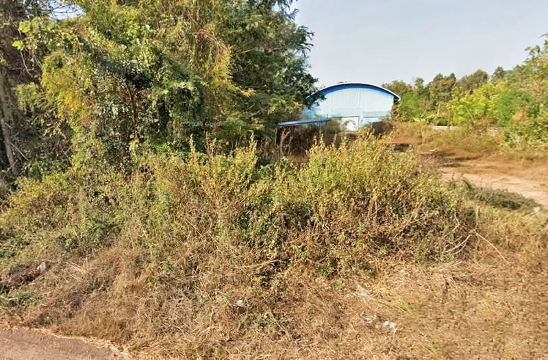 ที่ดินเชียงยืน มหาสารคาม, Maha Sarakham, Phon Thong, Chiang Yun, Maha Sarakham, , 56,005 sqm, Land For Sale, by The Best Property ปุ้ยกี้, 500448997 - DDproperty.com