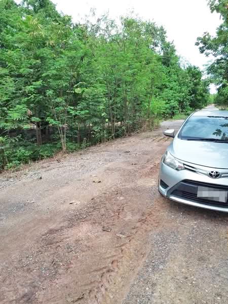 ที่ดินชนแดน เพชรบูรณ์, เพชรบูรณ์, ดงขุย, ชนแดน, เพชรบูรณ์, 16,000 ตร.ม., ที่ดิน ขาย, โดย The Best Property เล็ก, 500449005 - DDproperty.com