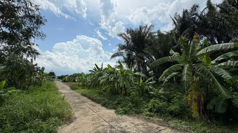 ซอยนิมิตใหม่ 40 เขตคลองสามวา กรุงเทพฯ, Bangkok, Sam Wa Tawan Ok, Khlong Sam Wa, Bangkok, , 4,132 sqm, Land For Sale, by Nattakan nueaiam, 500449069 - DDproperty.com