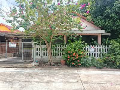 ขาย - Chonlada Bangbuathong : ชลลดา บางบัวทอง, นนทบุรี
