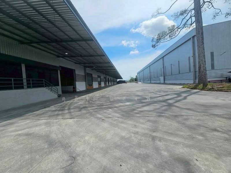 ให้เช่าโรงงาน/คลังสินค้า 9700 ตรม.ใกล้ท่าเรือแหลมฉบัง ศรีราชา, Chon Buri (Pattaya), Thung Suk La, Si Racha, Chon Buri (Pattaya), , 9,700 sqm, Warehouse/Factory For Rent, by Dusit Saengfa, 500449200 - DDproperty.com