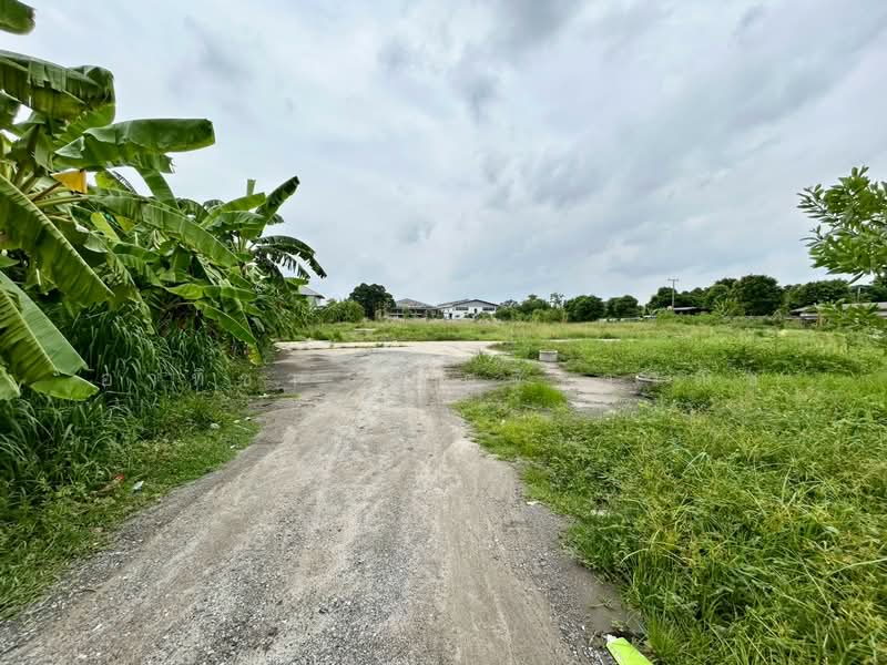 ขายที่ดิน อ.บางพลี 7-1-25 ไร่ ติดถนนเทพารักษ์ขาออก ขายด่วนต่ำกว่าประเมิน, สมุทรปราการ, ถนนเทพารักษ์, บางปลา, บางพลี, สมุทรปราการ, 11,700 ตร.ม., ที่ดิน ขาย, โดย อาทิชา โชตจิราวณิช, 500449271 - DDproperty.com