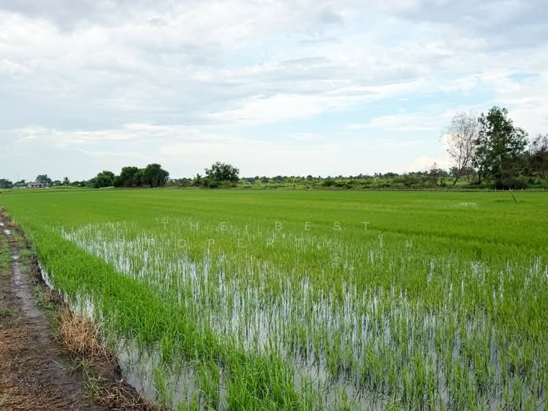 ที่ดินท่าไข่ ฉะเชิงเทรา, Chachoengsao, Tha Khai, Muang Chachoengsao, Chachoengsao, , 2,784 sqm, Land For Sale, by The Best Property โม, 500449290 - DDproperty.com