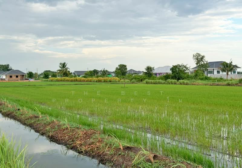 ที่ดินท่าไข่ ฉะเชิงเทรา, Chachoengsao, Tha Khai, Muang Chachoengsao, Chachoengsao, , 2,784 sqm, Land For Sale, by The Best Property โม, 500449290 - DDproperty.com