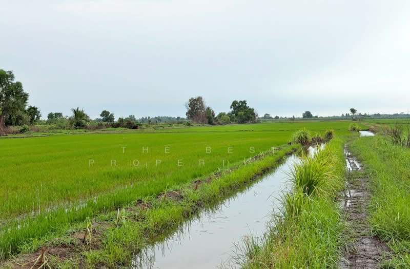 ที่ดินท่าไข่ ฉะเชิงเทรา, Chachoengsao, Tha Khai, Muang Chachoengsao, Chachoengsao, , 2,784 sqm, Land For Sale, by The Best Property โม, 500449290 - DDproperty.com