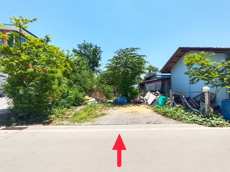 ที่ดินท่าไข่ ฉะเชิงเทรา, Chachoengsao, Tha Khai, Muang Chachoengsao, Chachoengsao, , 2,784 sqm, Land For Sale, by The Best Property โม, 500449294 - DDproperty.com