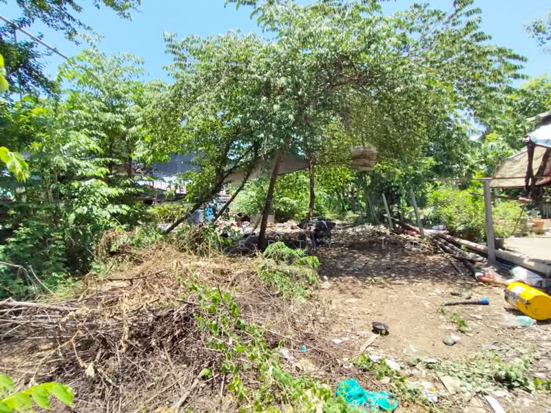 ที่ดินท่าไข่ ฉะเชิงเทรา, Chachoengsao, Tha Khai, Muang Chachoengsao, Chachoengsao, , 2,784 sqm, Land For Sale, by The Best Property โม, 500449294 - DDproperty.com