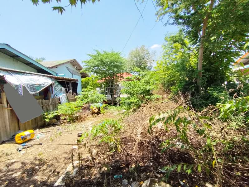 ที่ดินท่าไข่ ฉะเชิงเทรา, Chachoengsao, Tha Khai, Muang Chachoengsao, Chachoengsao, , 2,784 sqm, Land For Sale, by The Best Property โม, 500449294 - DDproperty.com