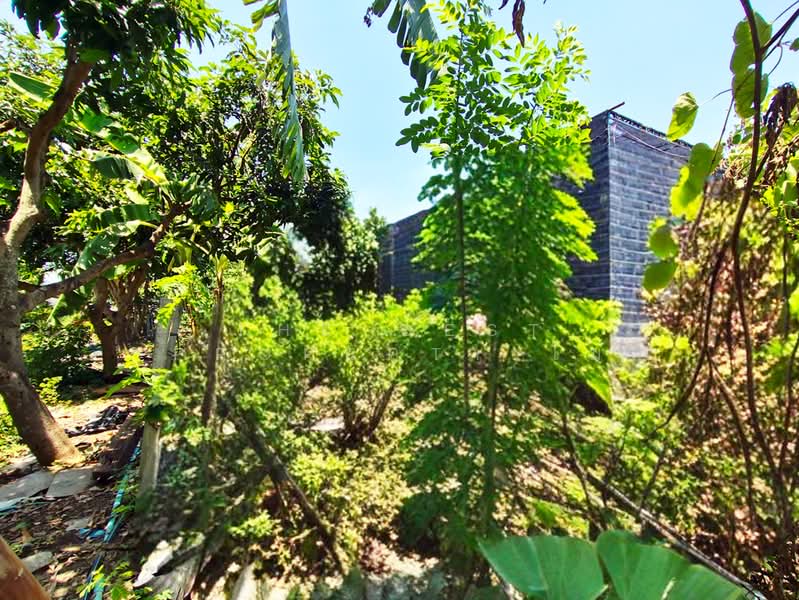 ที่ดินท่าไข่ ฉะเชิงเทรา, Chachoengsao, Tha Khai, Muang Chachoengsao, Chachoengsao, , 2,784 sqm, Land For Sale, by The Best Property โม, 500449294 - DDproperty.com