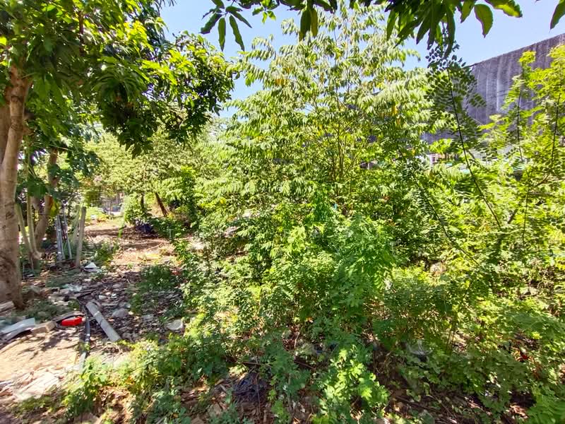 ที่ดินท่าไข่ ฉะเชิงเทรา, Chachoengsao, Tha Khai, Muang Chachoengsao, Chachoengsao, , 2,784 sqm, Land For Sale, by The Best Property โม, 500449294 - DDproperty.com