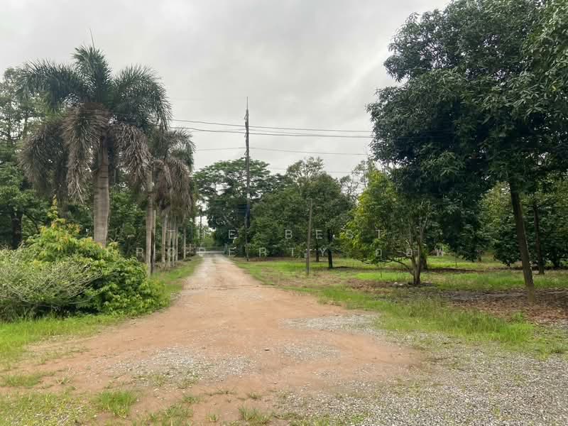 ที่ดินพร้อมสิ่งปลูกสร้างท่าใหม่ จันทบุรี, Chanthaburi, Song Phi Nong, Tha Mai, Chanthaburi, , 15,596 sqm, Land For Sale, by The Best Property ออฟ, 500449305 - DDproperty.com