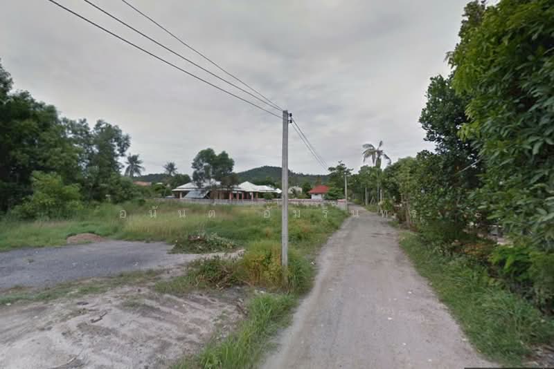 ขายที่ดินเปล่า เกาะสมุย แบ่งขาย 5 แปลง แปลงละ 200 ตร.ว. ใกล้สนามบินนานาชาติสมุย, สุราษฎร์ธานี, บ่อผุด, เกาะสมุย, สุราษฎร์ธานี, 800 ตร.ม., ที่ดิน ขาย, โดย อนันต์ อัมรินทร์, 500449340 - DDproperty.com