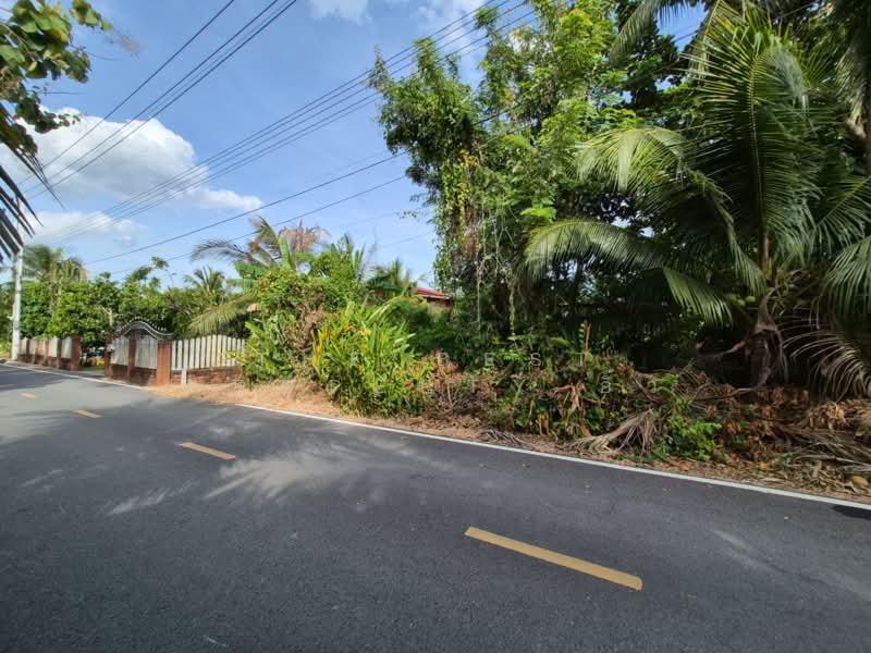 ที่ดินอัมพวา สมุทรสงคราม, Samut Songkhram, Bang Khae, Amphawa, Samut Songkhram, , 4,888 sqm, Land For Sale, by The Best Property อิ๋ว, 500449390 - DDproperty.com
