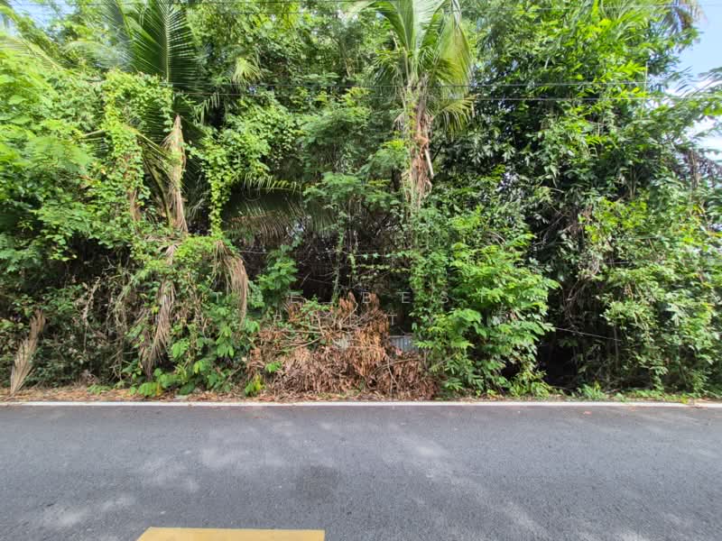 ที่ดินอัมพวา สมุทรสงคราม, Samut Songkhram, Bang Khae, Amphawa, Samut Songkhram, , 4,888 sqm, Land For Sale, by The Best Property อิ๋ว, 500449390 - DDproperty.com