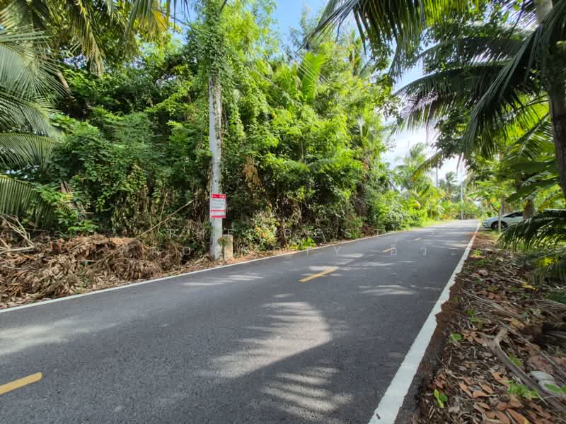 ที่ดินอัมพวา สมุทรสงคราม, Samut Songkhram, Bang Khae, Amphawa, Samut Songkhram, , 4,888 sqm, Land For Sale, by The Best Property อิ๋ว, 500449390 - DDproperty.com