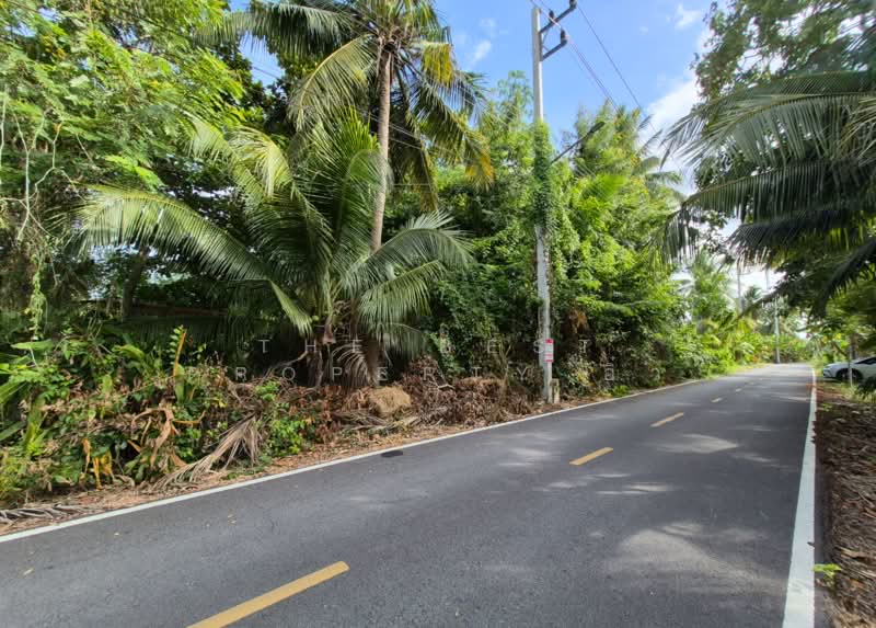 ที่ดินอัมพวา สมุทรสงคราม, Samut Songkhram, Bang Khae, Amphawa, Samut Songkhram, , 4,888 sqm, Land For Sale, by The Best Property อิ๋ว, 500449390 - DDproperty.com