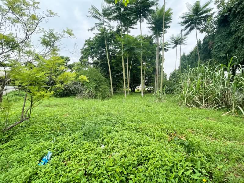 ที่ดินคันนายาว กรุงเทพมหานคร, Bangkok, Khan Na Yao, Bangkok, , 1,044 sqm, Land For Sale, by The Best Property ของขวัญ, 500449394 - DDproperty.com