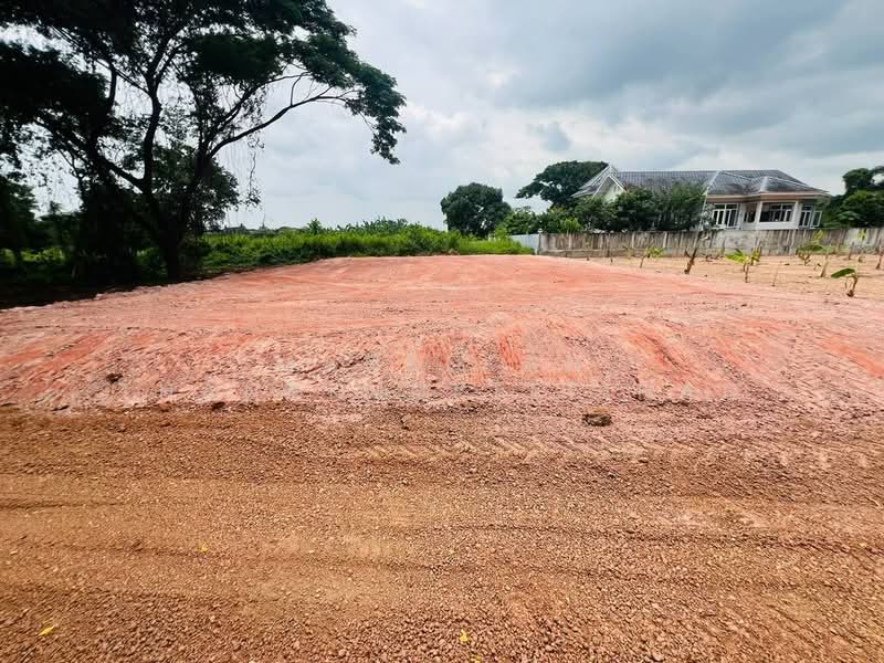 ขายที่ดินสวยราคาถูก ในตัวเมืองหนองคาย, หนองคาย, พนังชลประทาน, หาดคำ, เมืองหนองคาย, หนองคาย, 395 ตร.ม., ที่ดิน ขาย, โดย Maneekan Thanakunkittinan, 500449426 - DDproperty.com