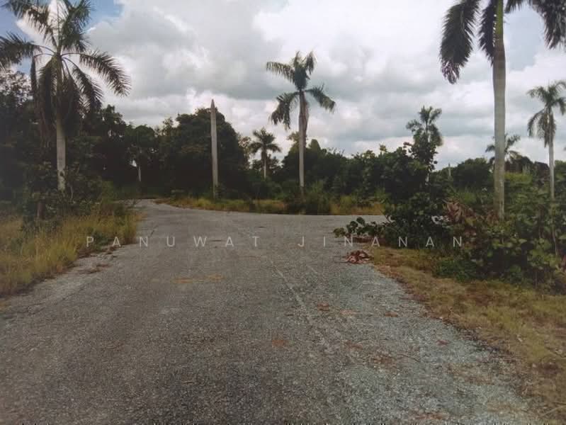 ไม่พบโครงการ, Chiang Rai, , Pa Tan, Khun Tan, Chiang Rai, , 612,800 sqm, Land For Sale, by Panuwat Jinanan, 500449430 - DDproperty.com
