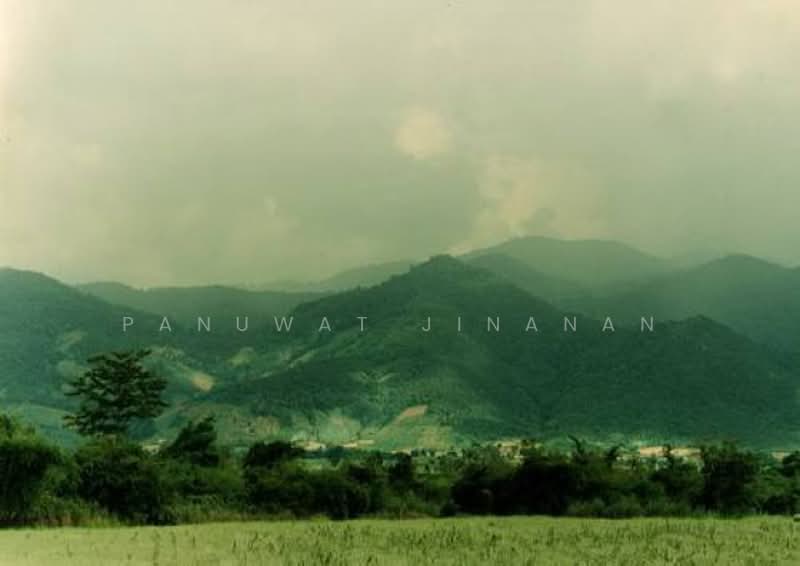 ไม่พบโครงการ, Chiang Rai, , Pa Tan, Khun Tan, Chiang Rai, , 612,800 sqm, Land For Sale, by Panuwat Jinanan, 500449430 - DDproperty.com